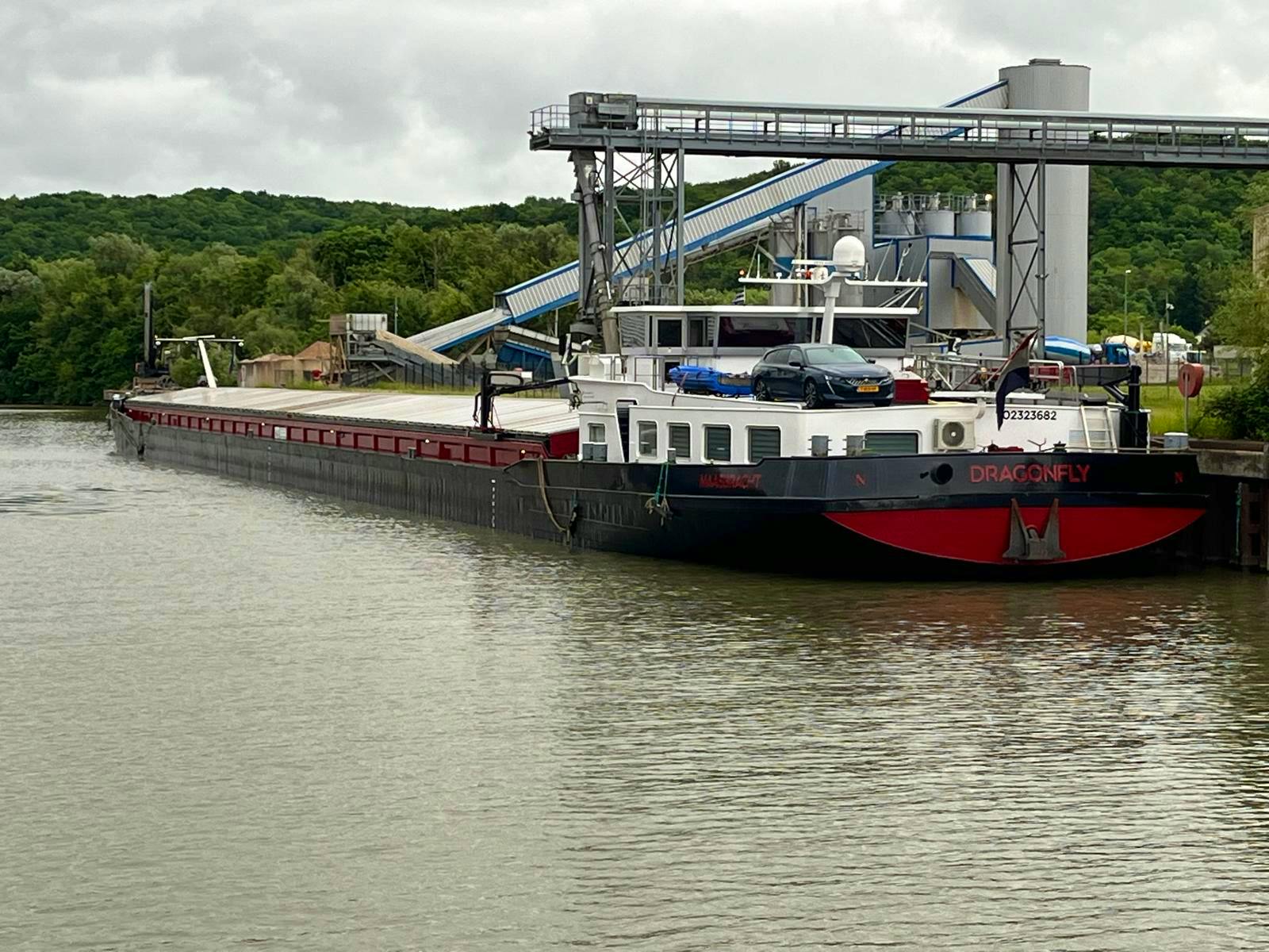 Dragon Fly — thumbnail 2